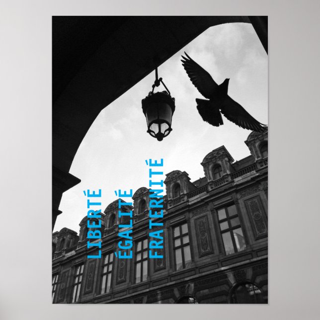 Cool Modern Unique Freedom Paris Art Poster (Front)