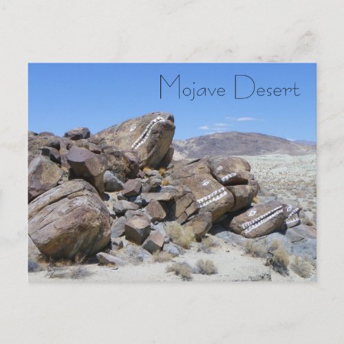 Cool Mojave Desert Postcard Postcard