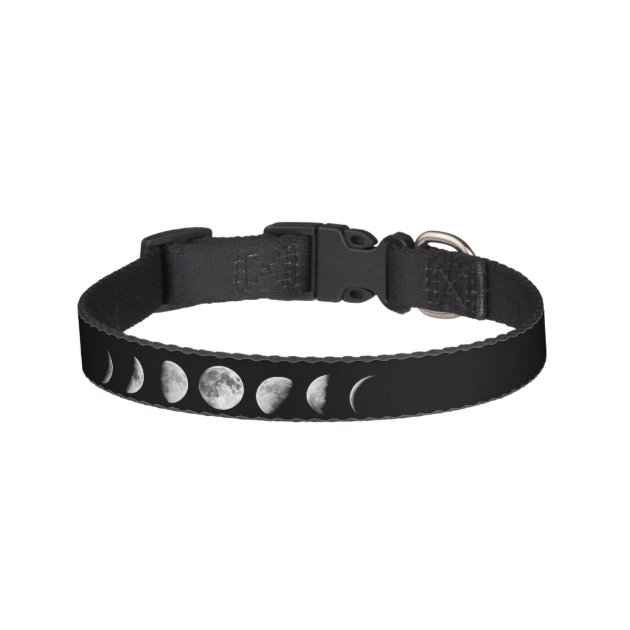 moon dog collar