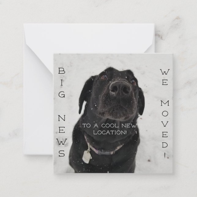 Cool New Location! Postcard (Front)