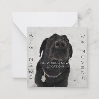 Cool New Location! Postcard