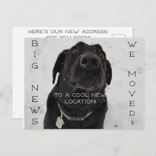 Cool New Location! Postcard