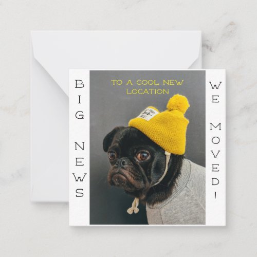 Cool New Location Pug Dog Postcard