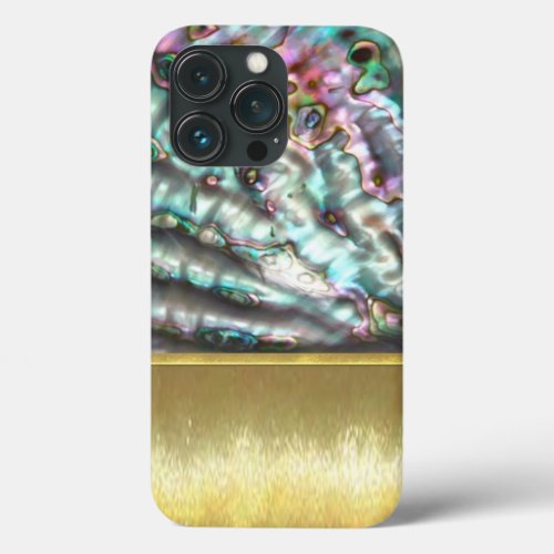 Cool Oil and Water Abalone Shell design iPhone 13 Pro Case