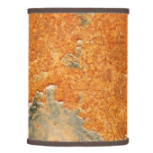 Cool Old Rusted Iron Metal Lamp Shade (Right)