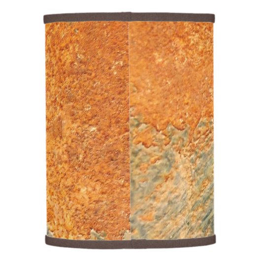 Cool Old Rusted Iron Metal Lamp Shade (Back)