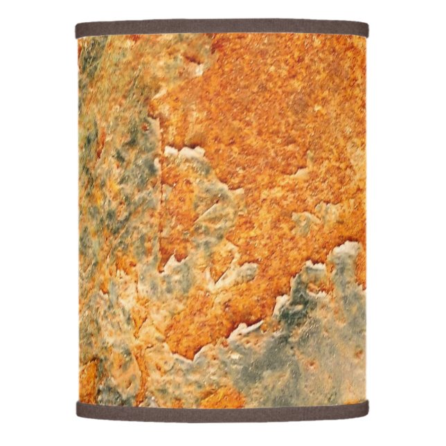 Cool Old Rusted Iron Metal Lamp Shade (Front)