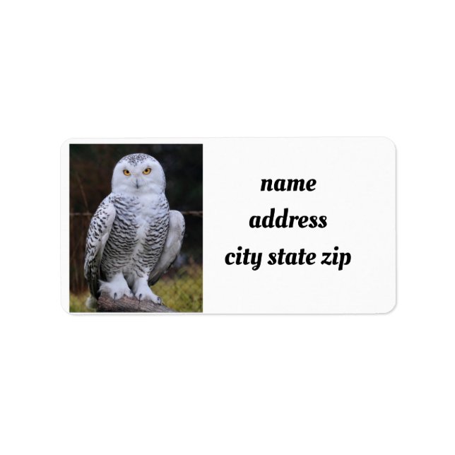 **COOL OWL** ADDRESS LABELS (Front)