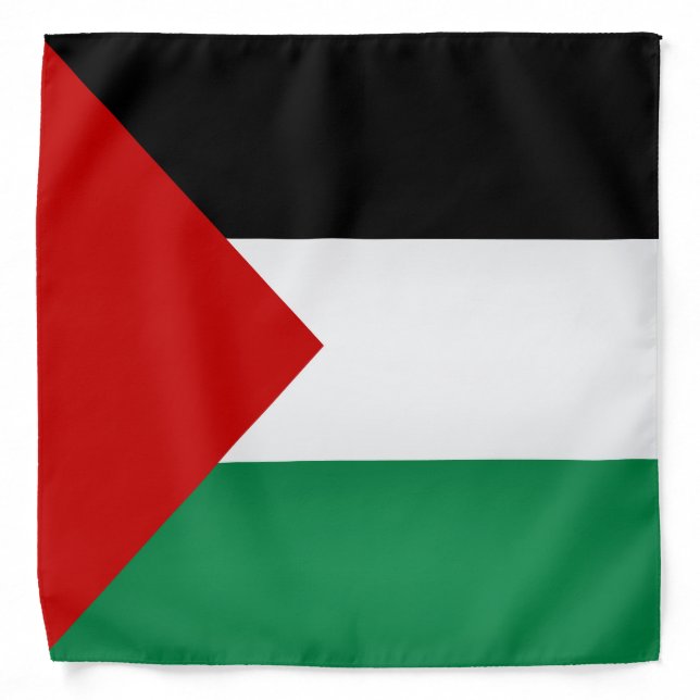 Cool Palestine Flag Fashion Bandana (Front)