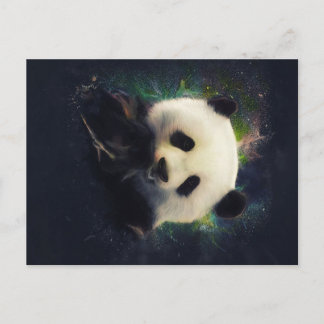 Cool Panda | Bamboo Bear | Clolorful Gift Announcement Postcard