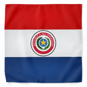 Cool Paraguay Flag Fashion Bandana