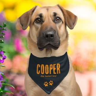 Cool Personalized Name Pet Bandana Collar