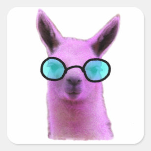 Cool Pink Llama! Square Sticker