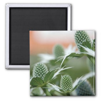 Cool Plant Magnet by pulsDesign at Zazzle