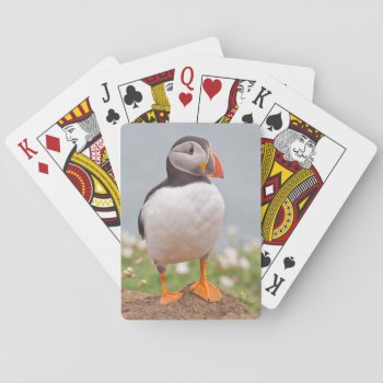 Cool Puffin Playing Cards by Welshpixels at Zazzle