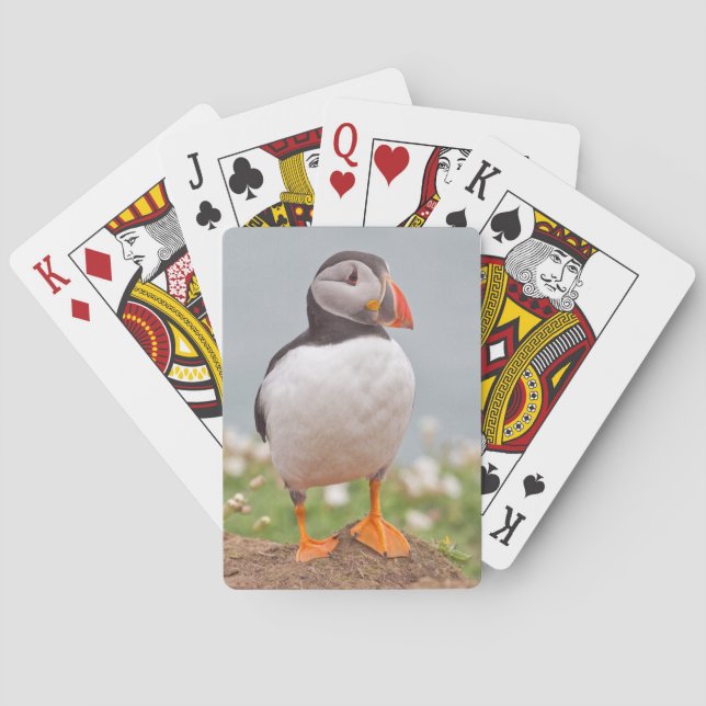 Cool Puffin Poker Cards (Back)