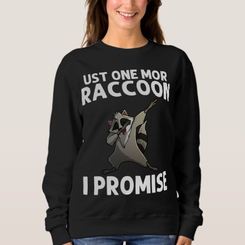 Cool Raccoon For Men Women Trash Panda Animal Love Sweatshirt