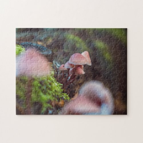 Cool Red Fungi Rainforest Moss Mushrooms Jigsaw Puzzle