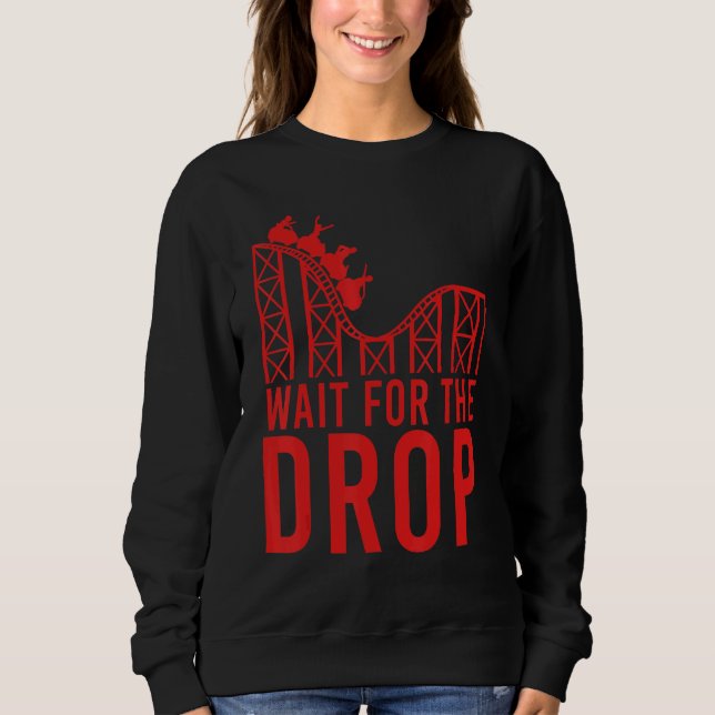 Cool Roller Coaster For Men Women Amusement Park C Sweatshirt (Front)
