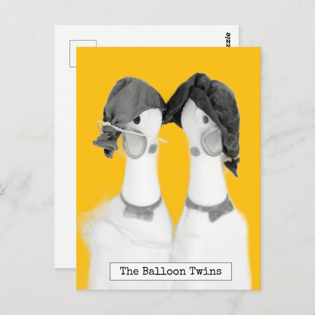 Cool Rubber Chickens Postcard (Front/Back)