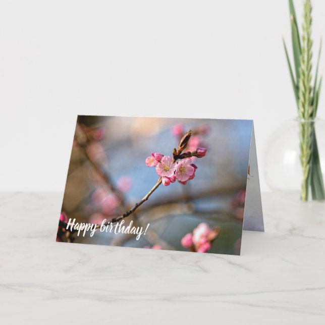 Cool Sakura Flowers Against The Gray Background Card (Front)