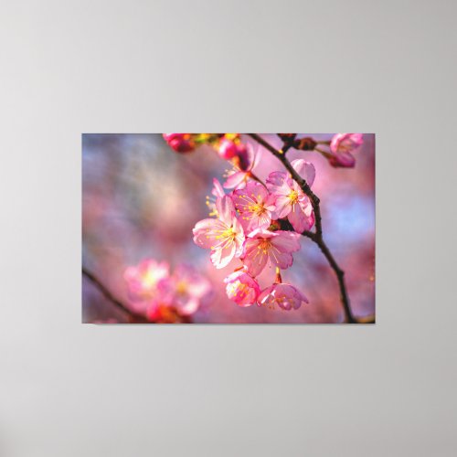 Cool Sakura Flowers On A Cherry Tree In The Garden Canvas Print