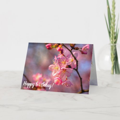 Cool Sakura Flowers On A Cherry Tree In The Garden Card
