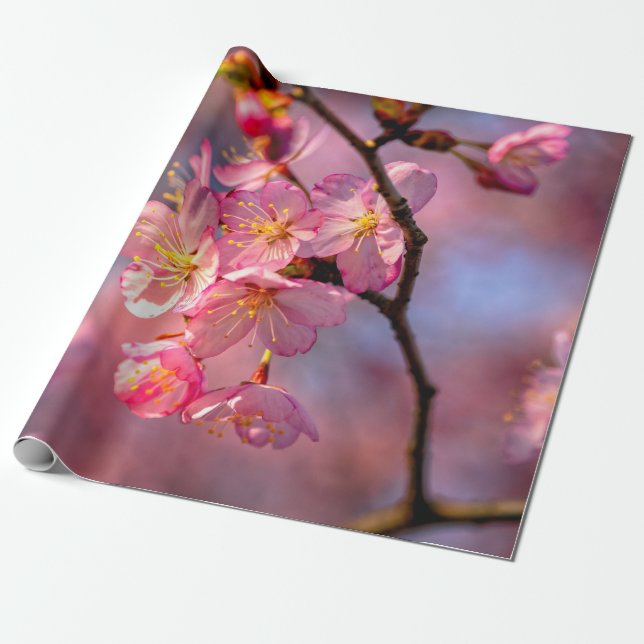 Cool Sakura Flowers On A Cherry Tree Wrapping Paper (Unrolled)
