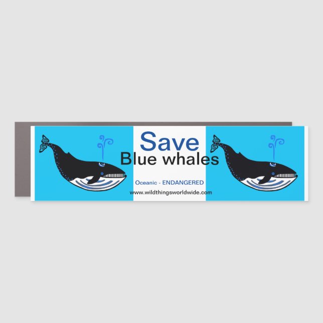 Cool Save  Blue WHALES - Wildlife warrior - Oceans Car Magnet (Front)