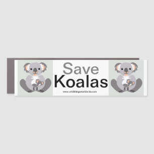 Cool Save KOALAS- Conservation -Nature Car Magnet