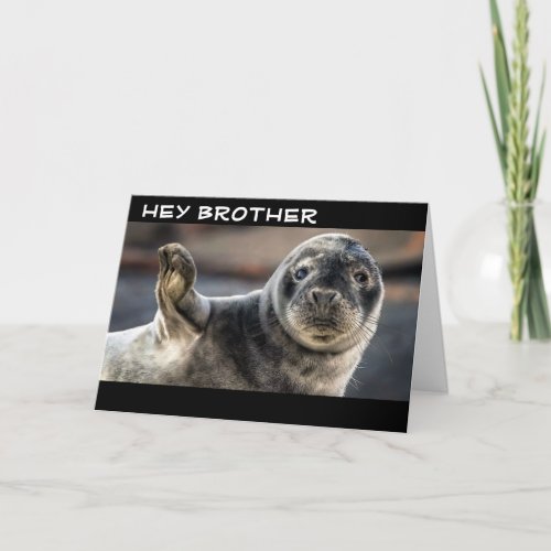 COOL SEAL SAYS HAPPY BIRTHDAY BROTHER CARD