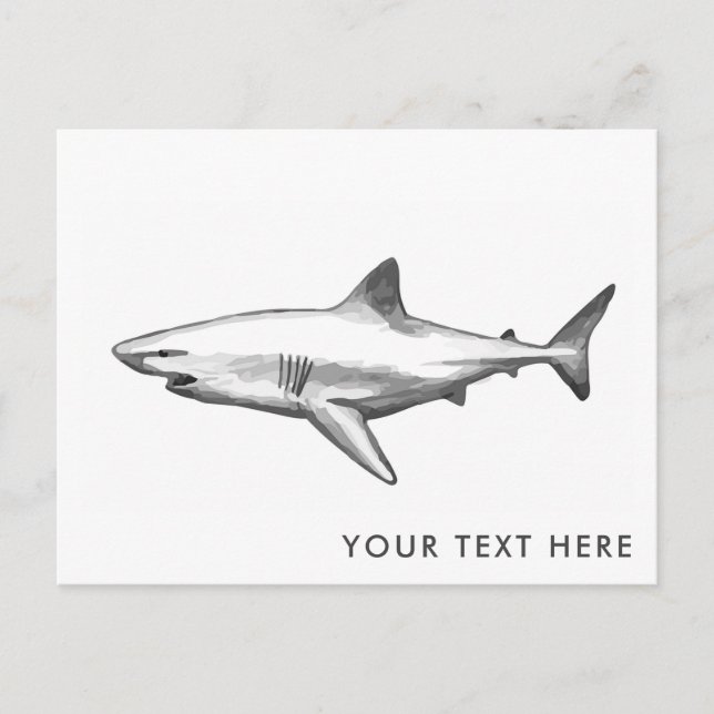 Cool Shark Postcard (Front)
