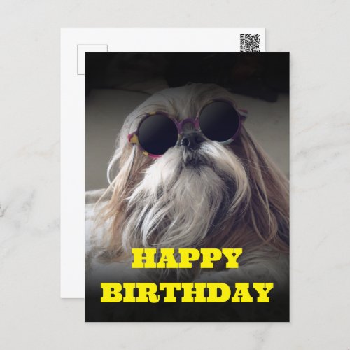 Cool Shih Tzu long hair vintage Photo Birthday Postcard