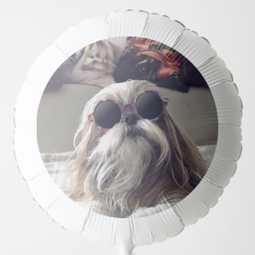 Cool Shih Tzu long hair vintage Sunglasses Photo Balloon