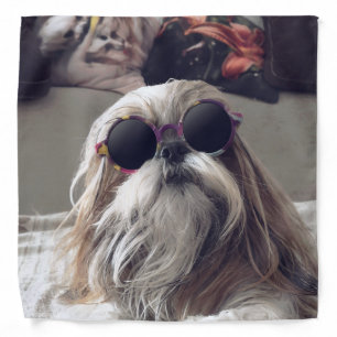 Cool Shih Tzu long hair vintage Sunglasses Photo Bandana