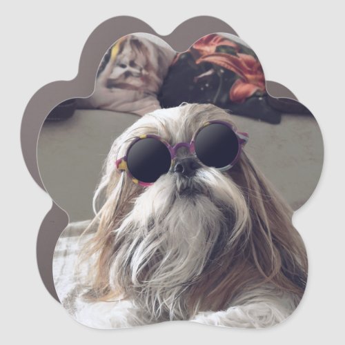 Cool Shih Tzu long hair vintage Sunglasses Photo Car Magnet