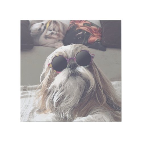 Cool Shih Tzu long hair vintage Sunglasses Photo Gallery Wrap