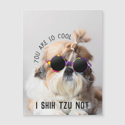 Cool Shih Tzu Not fun cute Sunglasses Photo