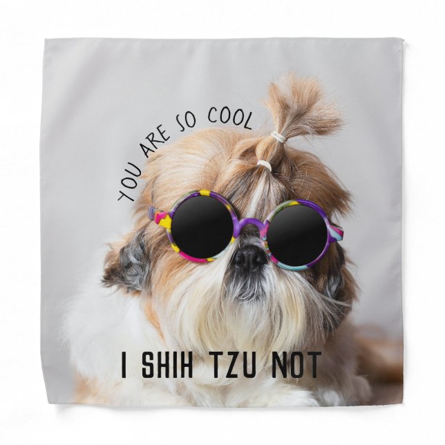 Cool Shih Tzu Not fun cute Sunglasses Photo Bandana (Front)