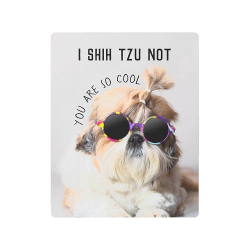 Cool Shih Tzu Not fun cute Sunglasses Photo Metal Print