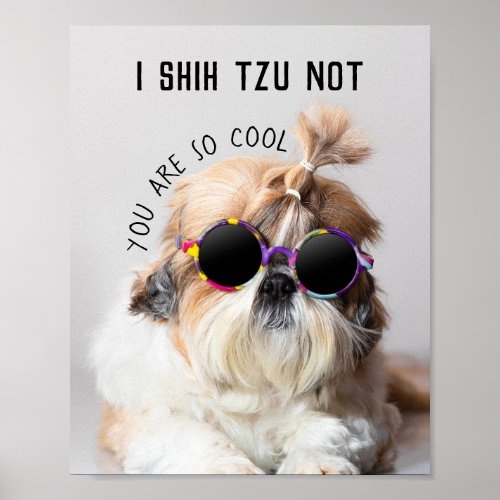 Cool Shih Tzu Not fun cute Sunglasses Photo Poster