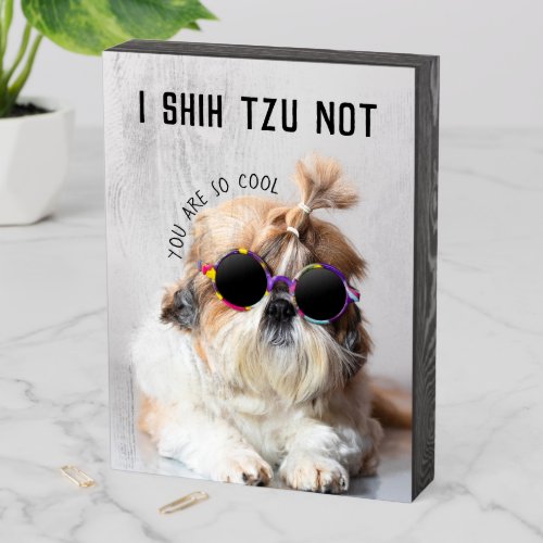 Cool Shih Tzu Not fun cute Sunglasses Photo Wooden Box Sign