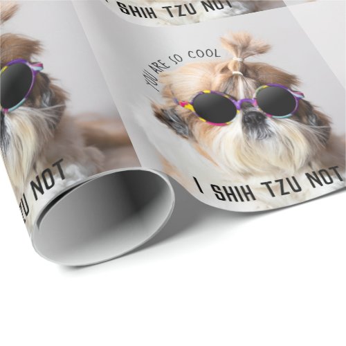 Cool Shih Tzu Not fun cute Sunglasses Photo Wrapping Paper