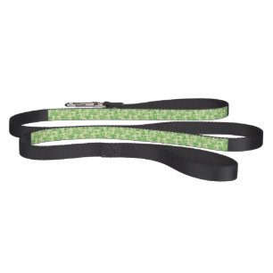 Cool skulls pet leash