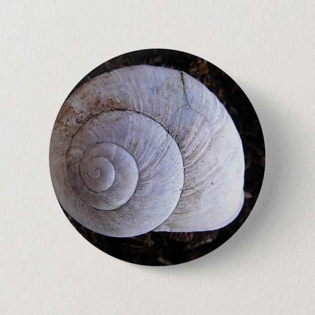 Cool snailshell pinback button (Front)