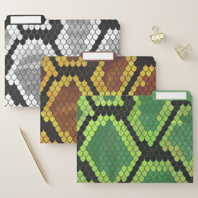 Cool Snake Skin Pattern File Folders (Set)