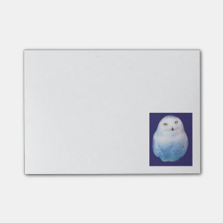 Cool Snowy Owl Post-it Notes