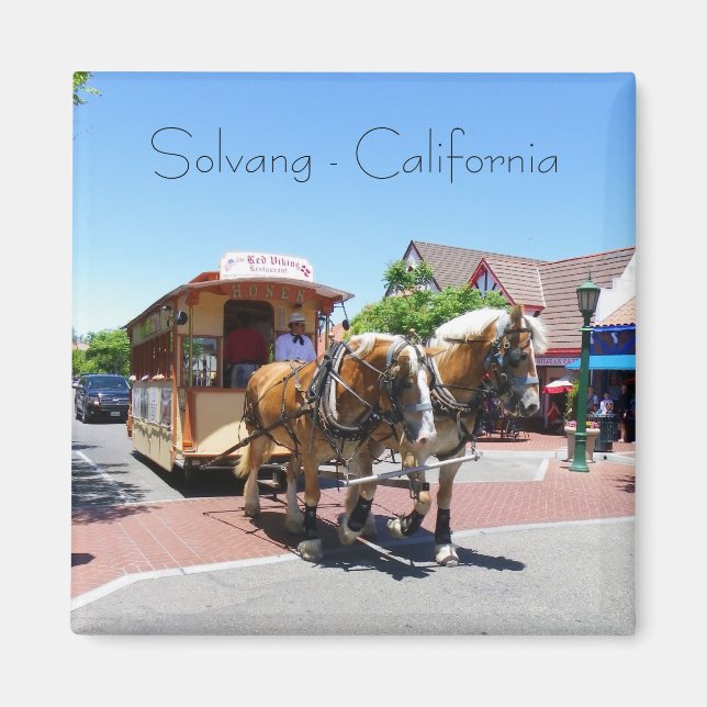 Cool Solvang Magnet! Magnet (Front)