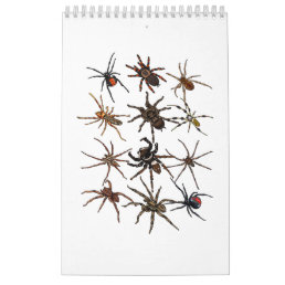 Cool Spider For Men Women Arachnid Spooky Scary Ha Calendar