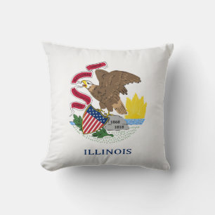 Cool State Of Illinois Flag Throw Pillow